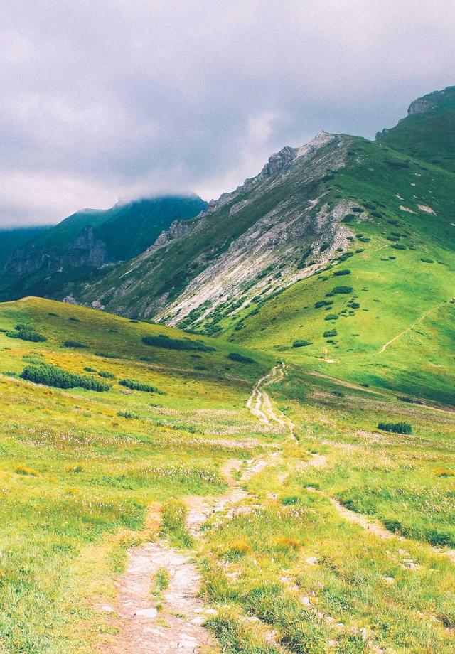 فوانيس الفجر